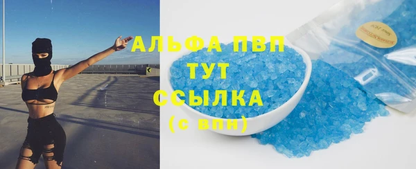 амф Инсар