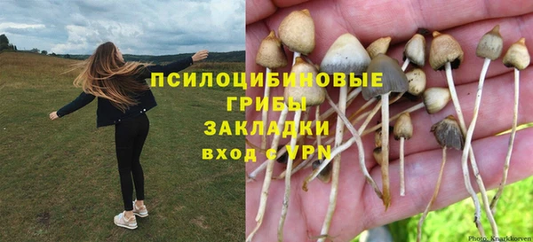 амф Инсар