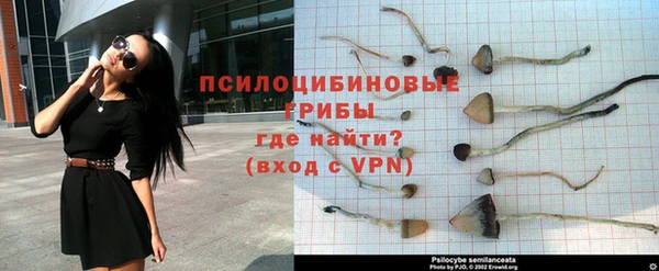 амф Инсар