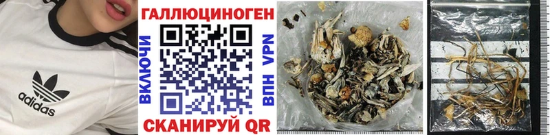Купить  Гремячинск  Галлюциногенные грибы прущие грибы 